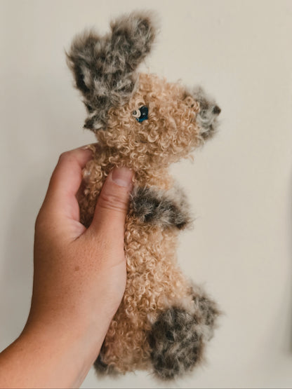 Petit lapin, small rabbit, Jeannot