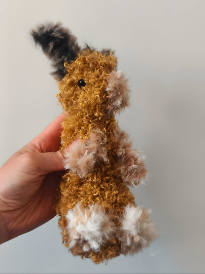 🐇 Petit lapin, small rabbit, Sam