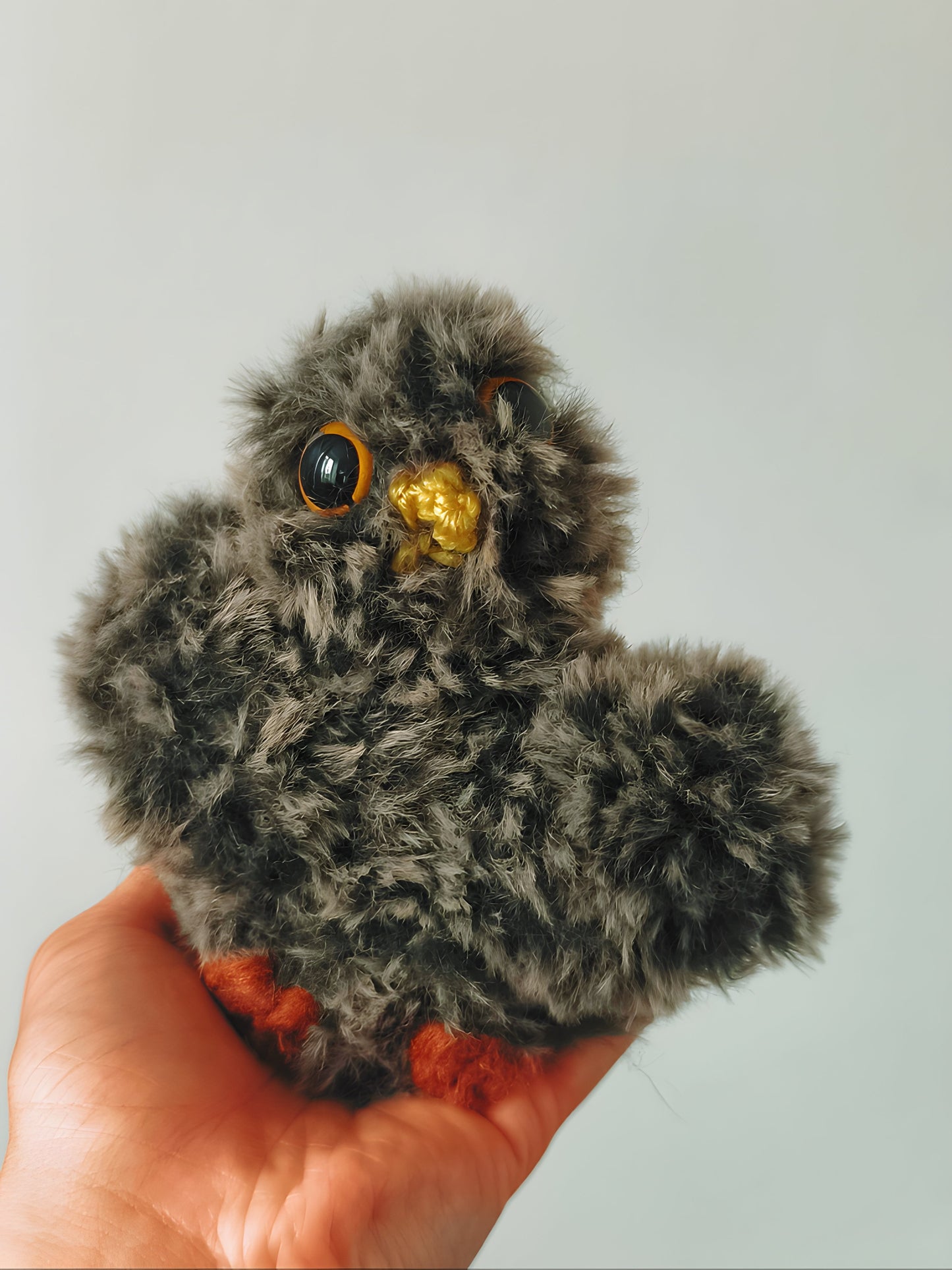 🦉 Bébé hibou, baby owl, Nirn