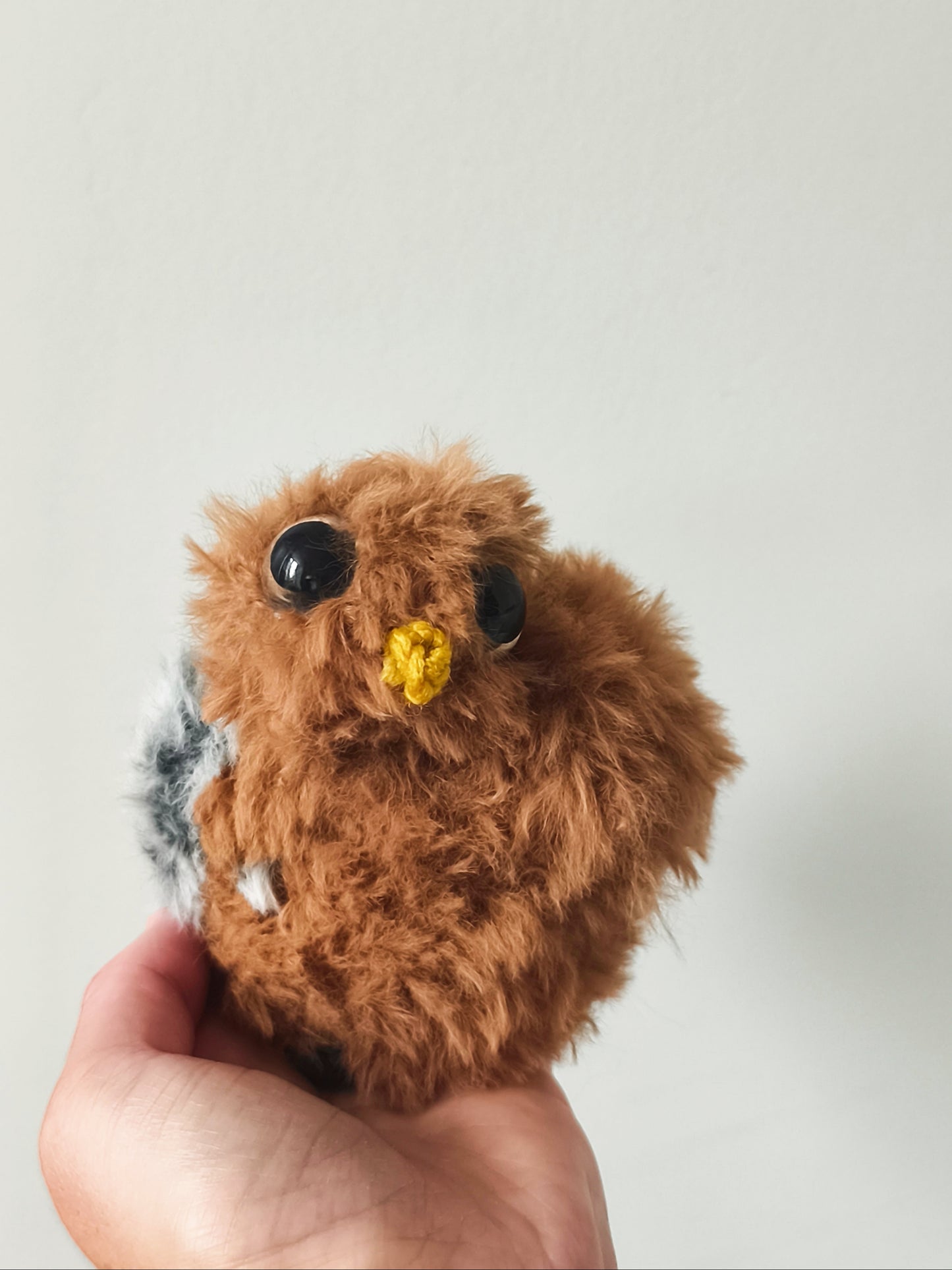 🦉Bébé hibou, baby owl, Choco
