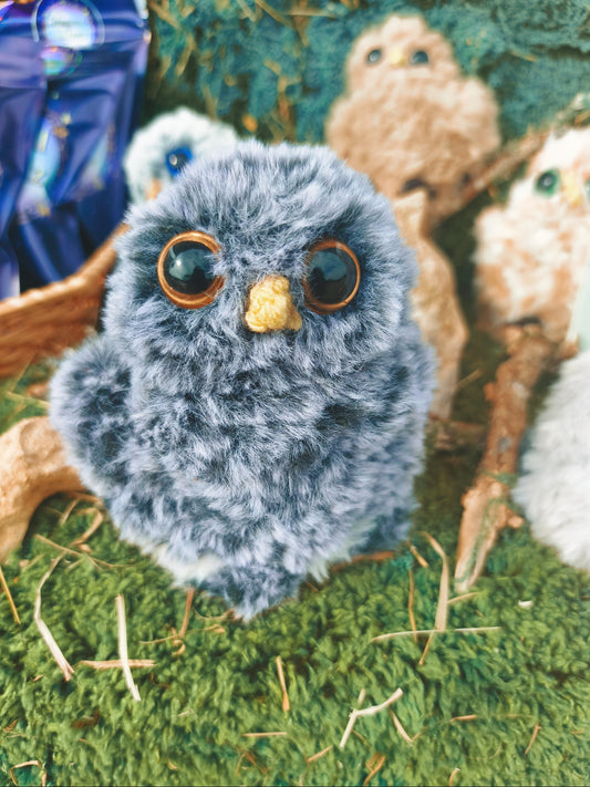 🦉 Luciole