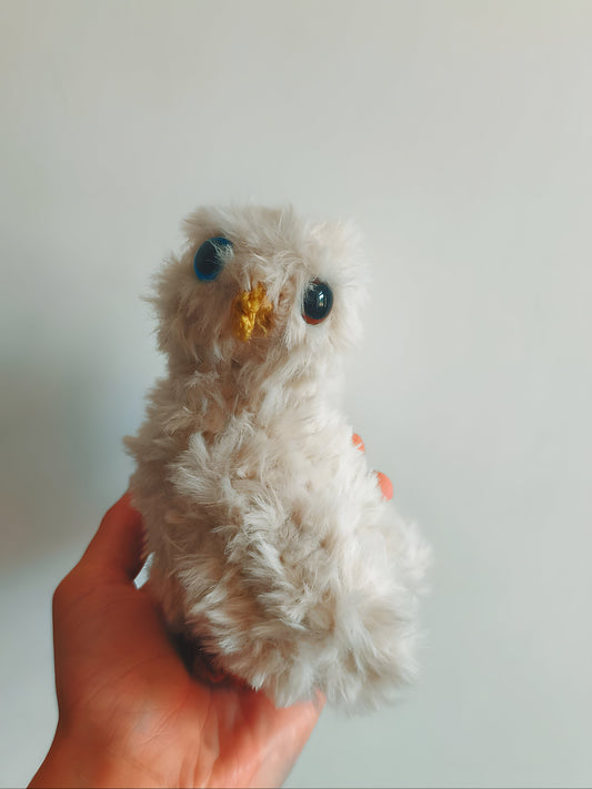 🦉 Bébé hibou, baby owlet, Azura