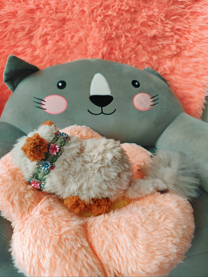 🥕 Bella le chinchilla