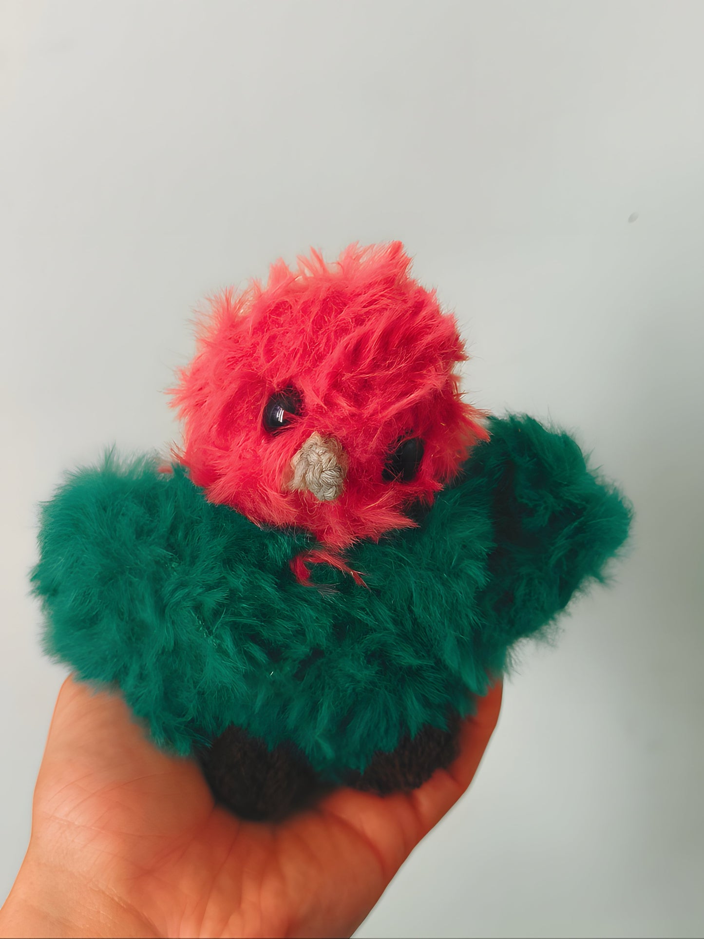 🐦 Petit oiseau, small bird, Jungle