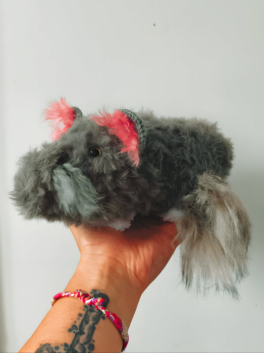🥕 Nana le chinchilla
