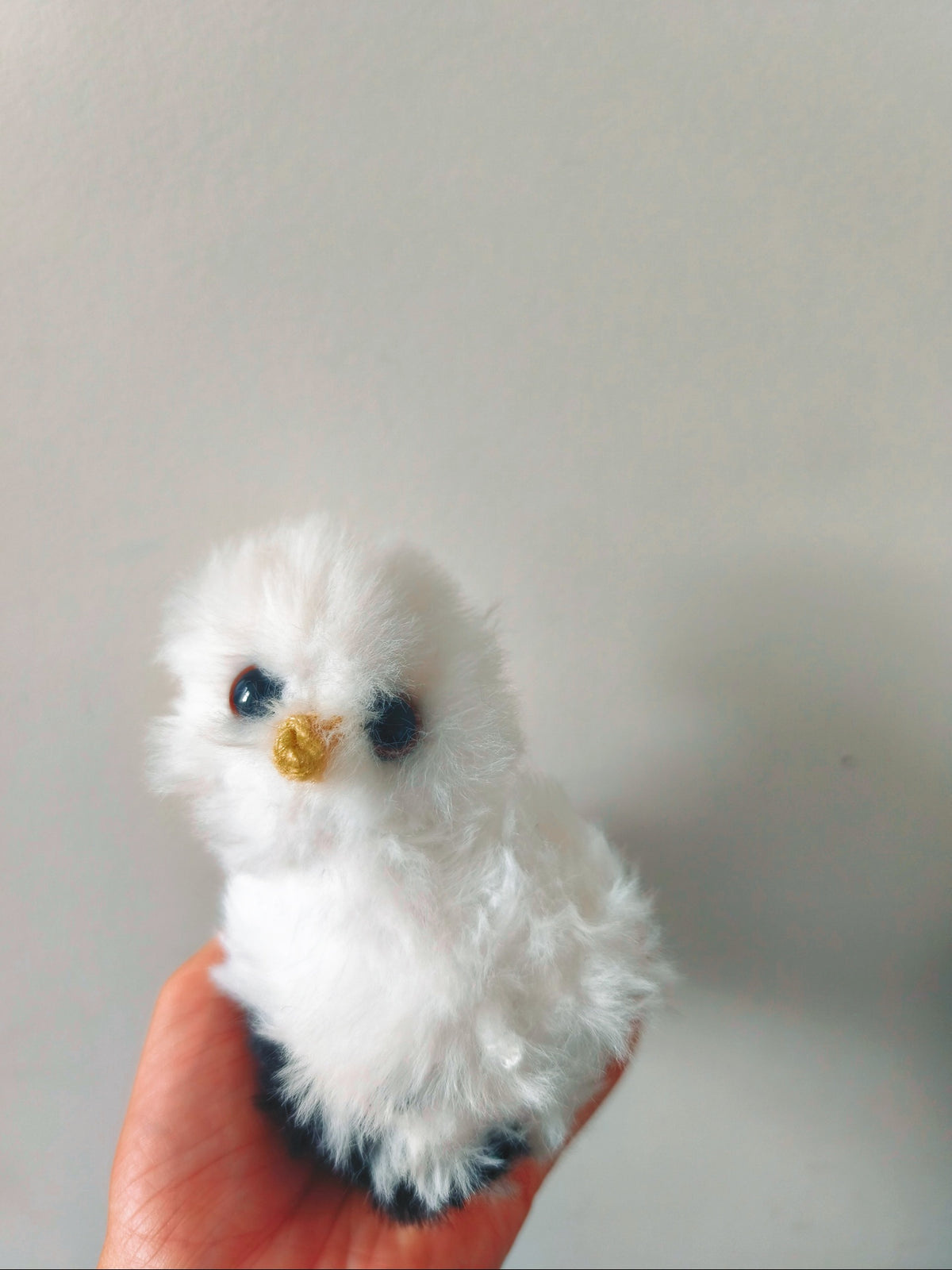 🦉Titou