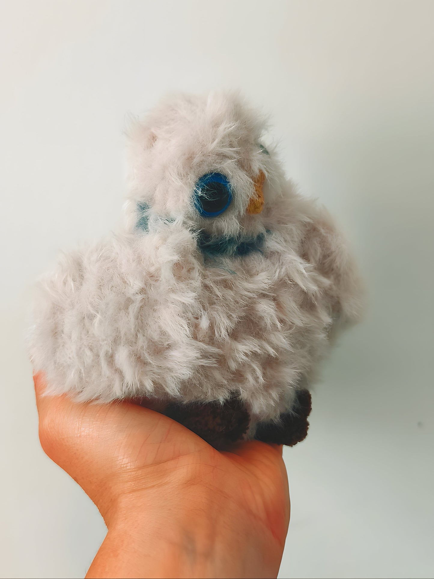 🦉 Bébé hibou, baby owl, Gimli