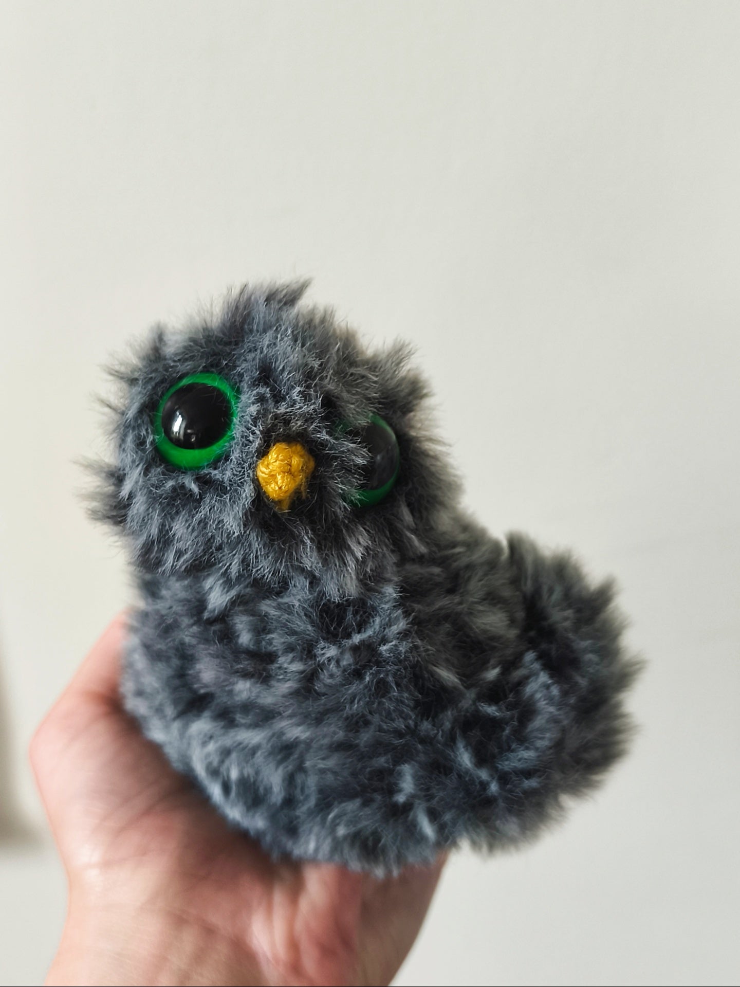 🦉Belette
