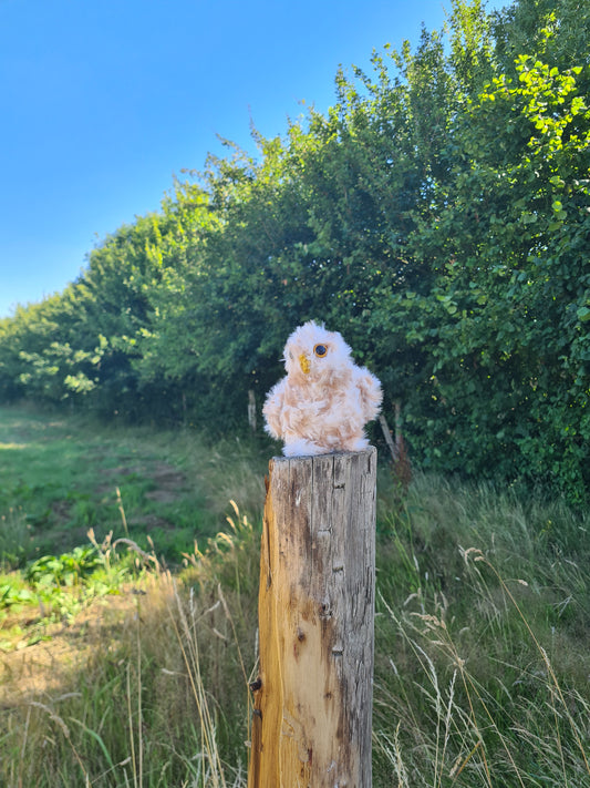 Bébé Hibou ( Zélie )