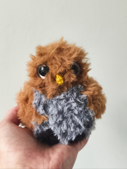 🦉Bébé Hibou, baby owl, Paco