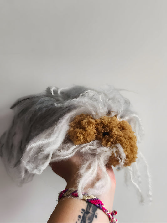 🥕 Luna le cochon d'inde, guinea pig