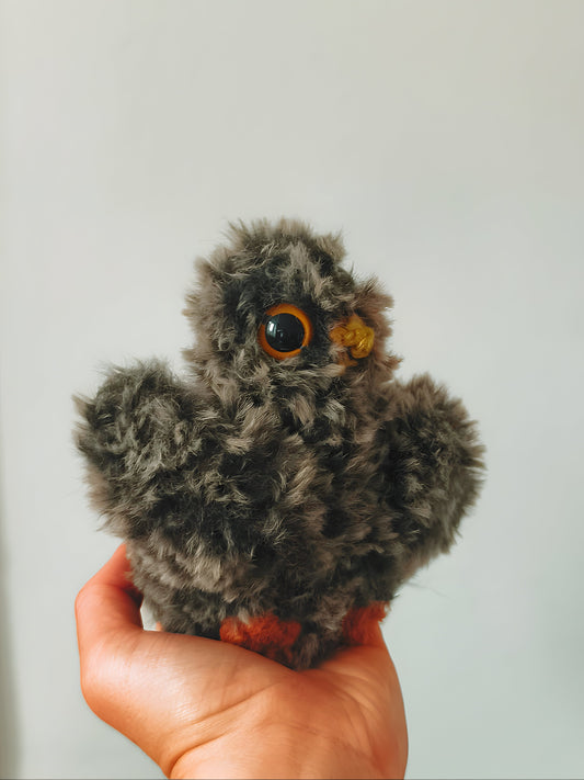🦉 Bébé hibou, baby owl, Nirn