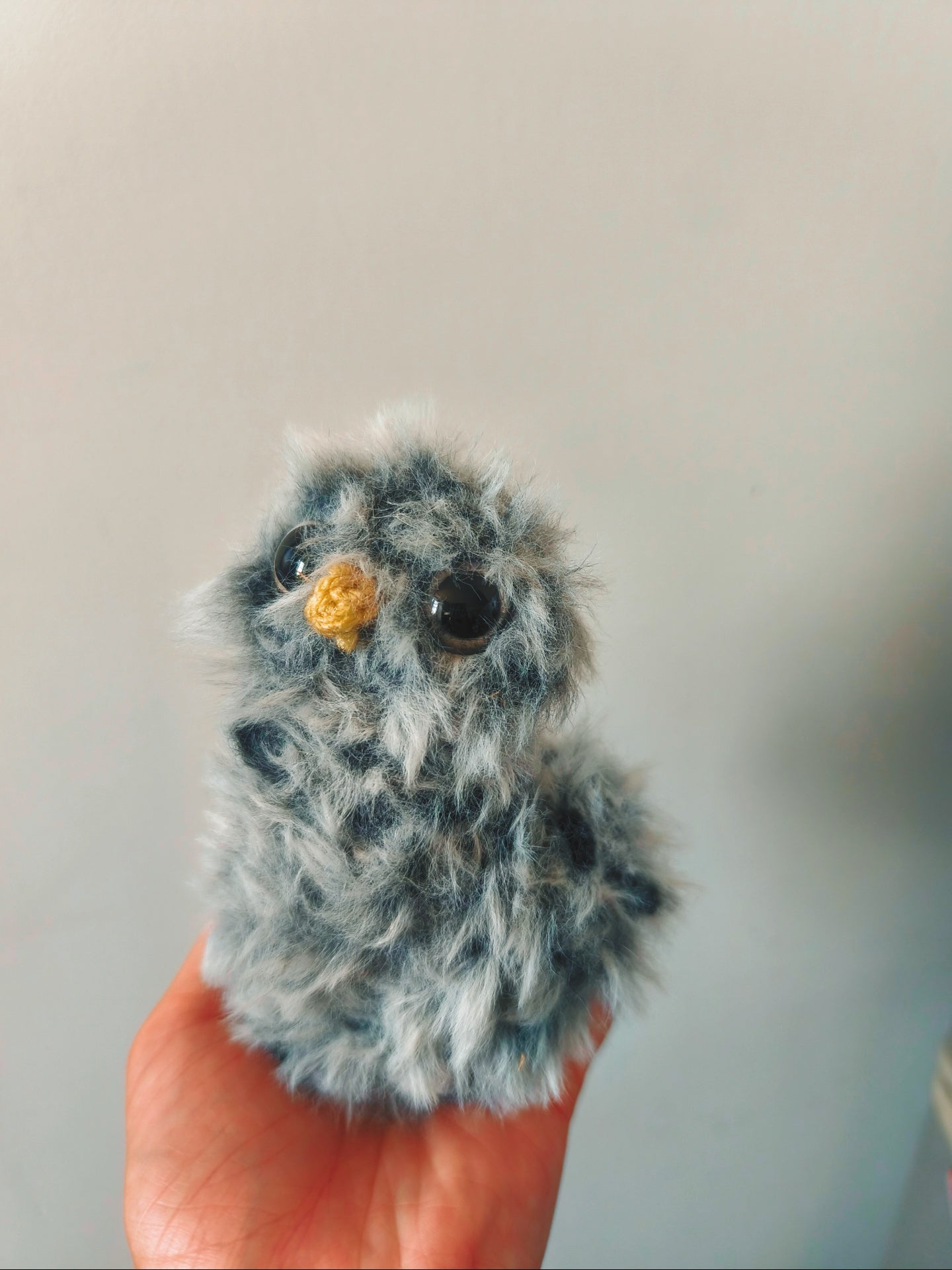 🦉Barold