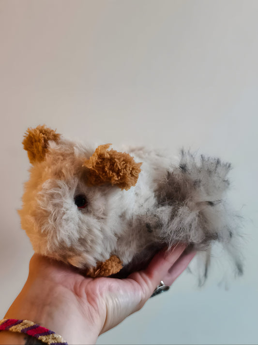 🥕 Bella le chinchilla