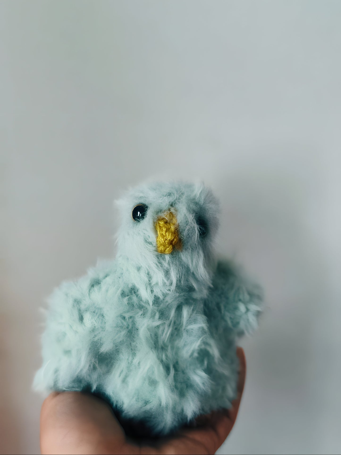 🦉Pochettes mystère / Mystery Boxes