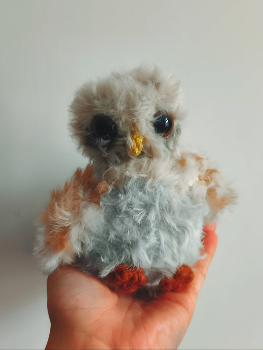 🦉 Bébé hibou, baby owl, Dunmer