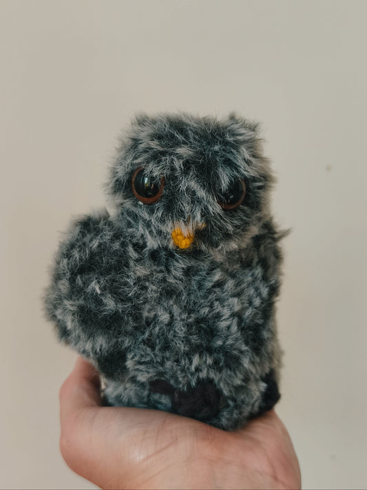 🦉 Bébé hibou, baby owl, Cracotte