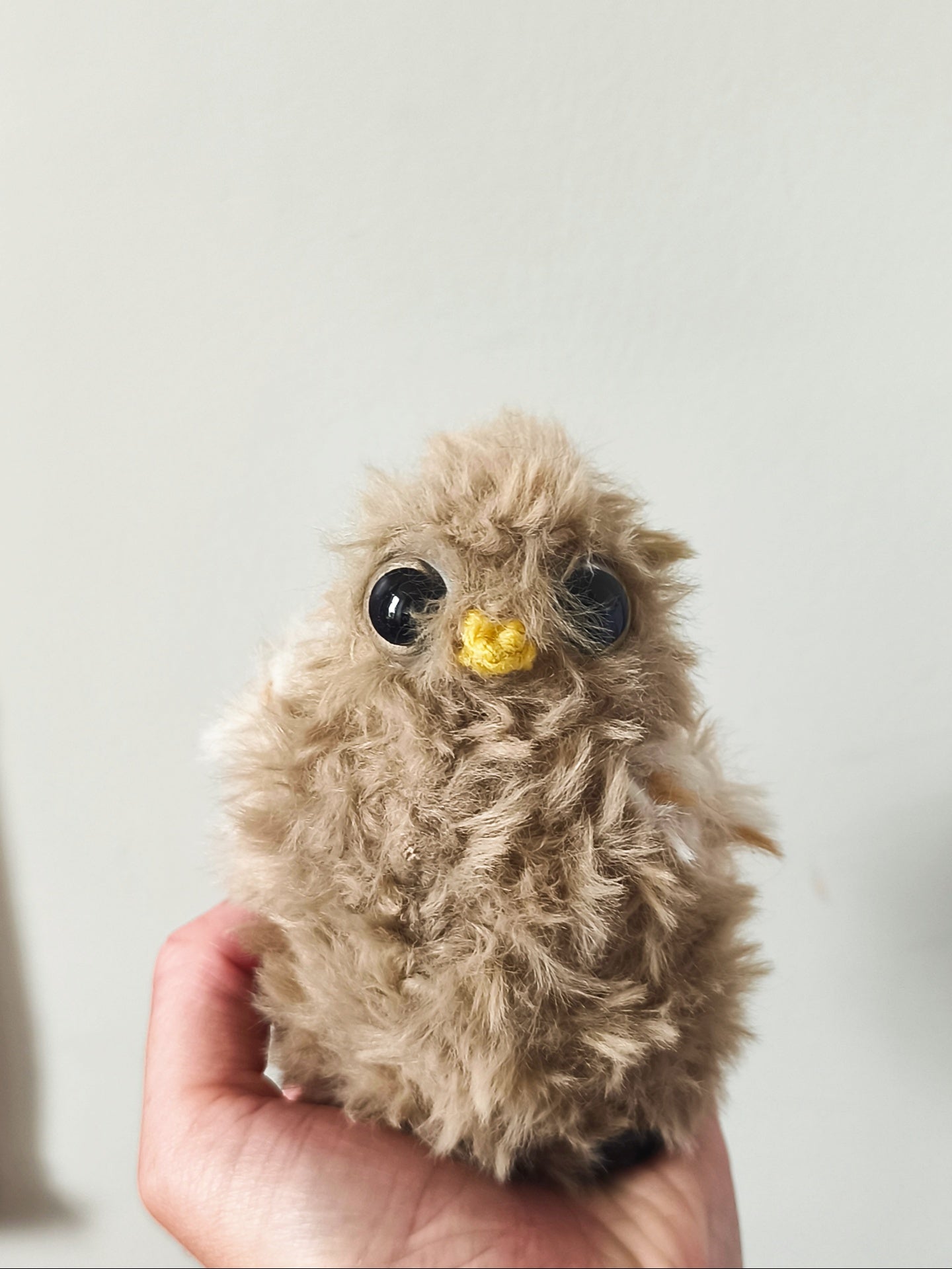 🦉 Framboise