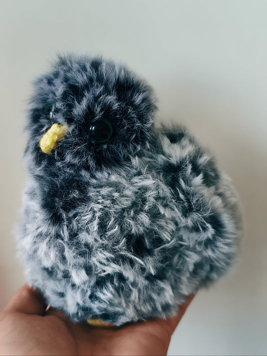 🦉Bébé Hibou, baby owlet ( Rocky )