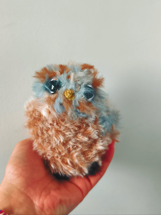 🦉Bébé hibou,baby owl, Krakoutte