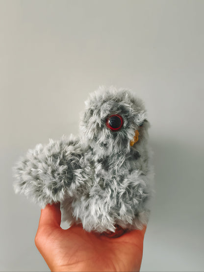 🦉Bébé hibou, baby owl, Nessi