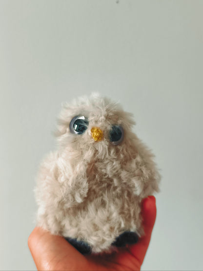 🦉Bébé hibou, baby owl, Nini
