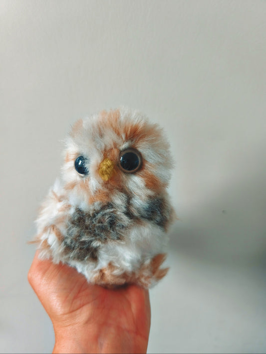 🦉 Riri