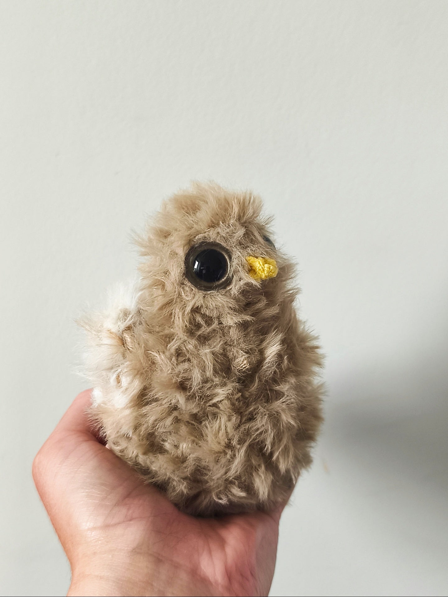 🦉 Framboise