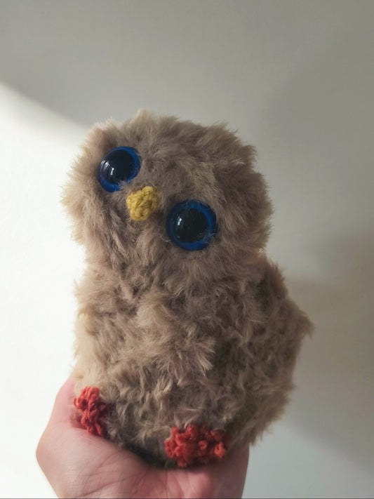🦉 Cottine