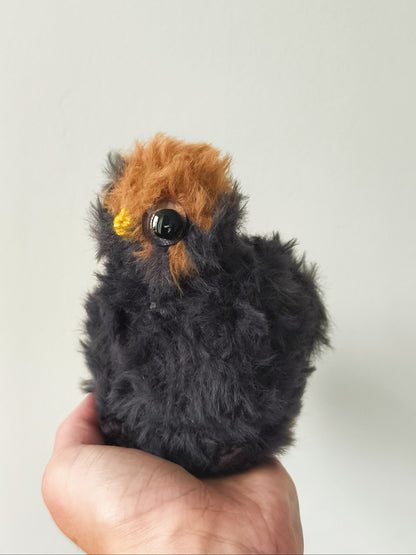 🦉Bébé hibou, baby owl, Sweet