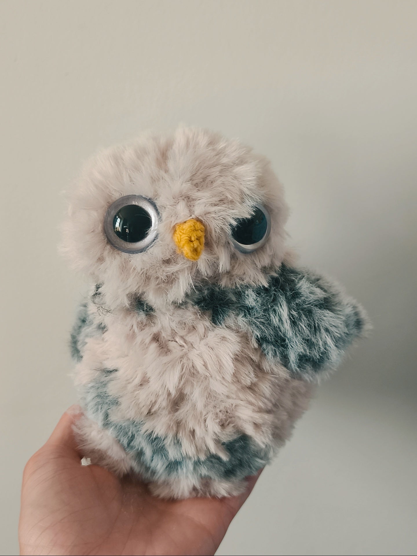 🦉 Casimir
