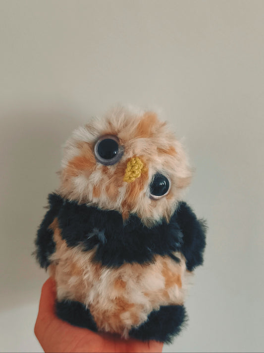 🦉 Atlas
