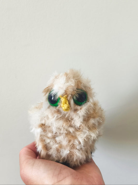 🦉 Lili