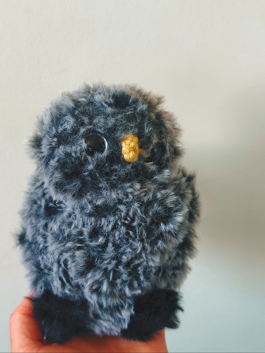 🦉 Bubble