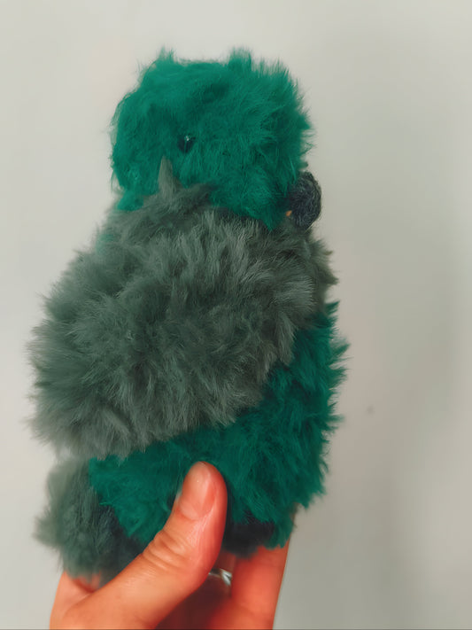 🐦 Perruche, budgie, Chewy