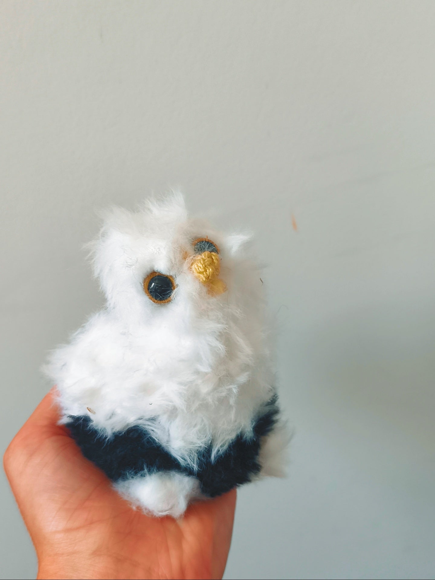 🦉 Framboise