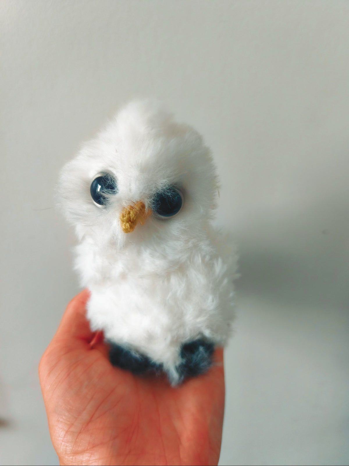 🦉 Orchidée