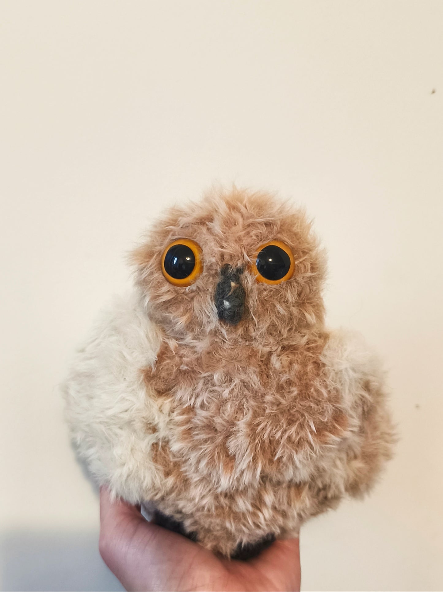 🦉Maxi Lil'Owlz, Ninou