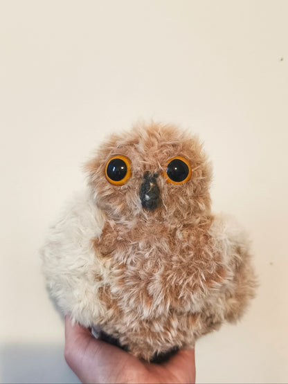 🦉Maxi Lil'Owlz, Ninou