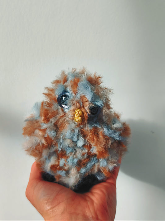 🦉Bébé hibou,baby owl, Criquet