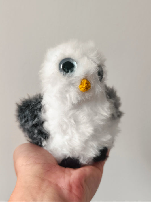🦉Bébé hiboux, baby owl, Winter