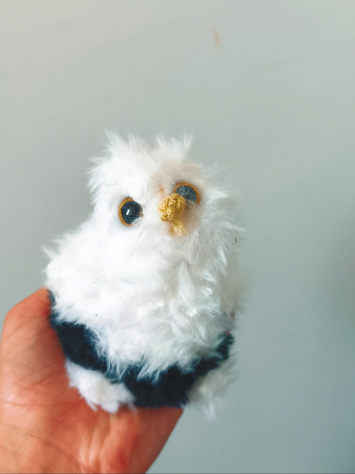 🦉 Framboise