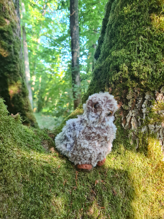 Bébé hibou ( Nounours )