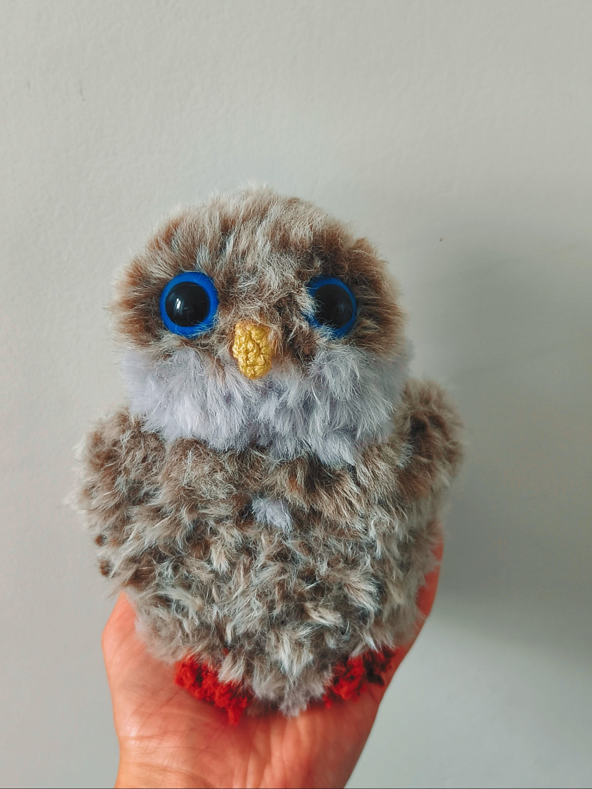 🦉 Biscuit