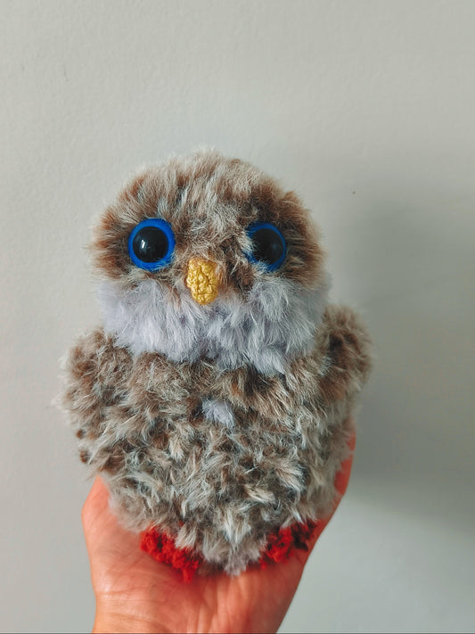 🦉 Biscuit