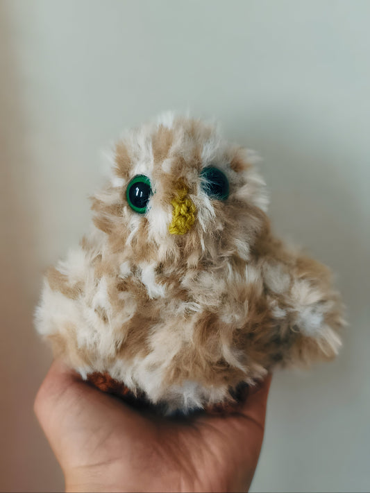 🦉Bébé hibou, baby owlet ( Nioky )