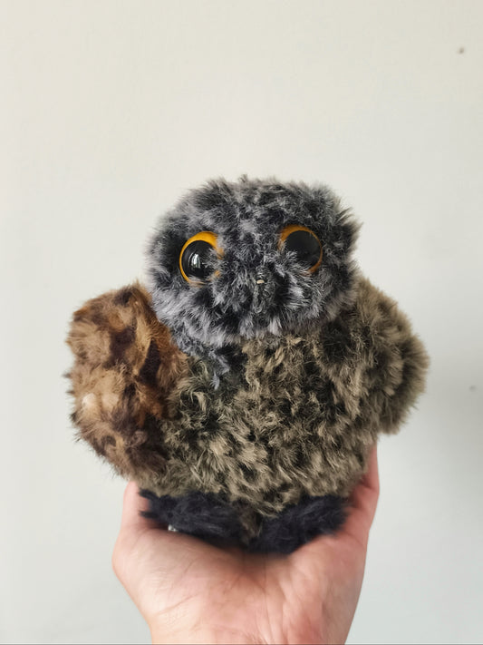 🦉Maxi Lil'Owlz, Ours