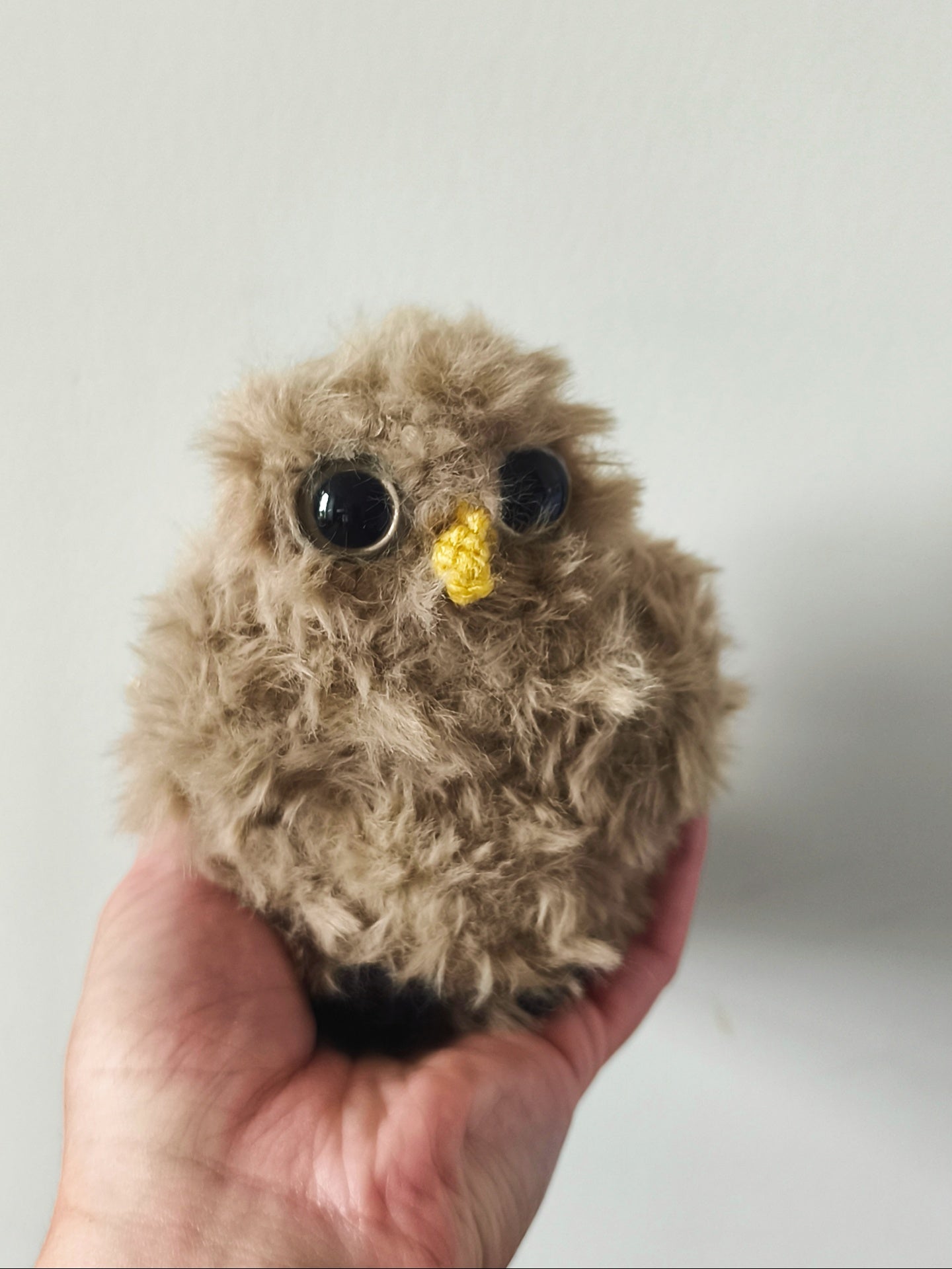 🦉 Sissi