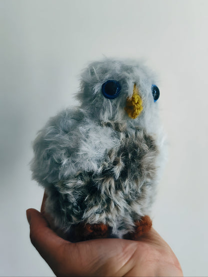 🦉 Bébé hibou, baby owlet Neige