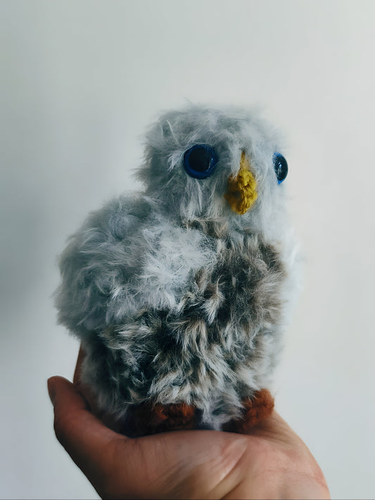 🦉 Bébé hibou, baby owlet Neige